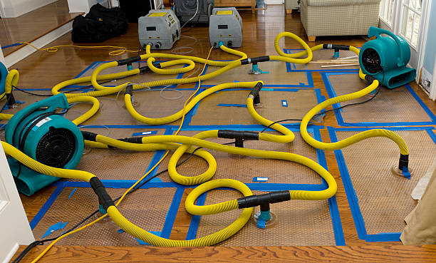 Professional Water Damage Repair technician working in Oregon, IL